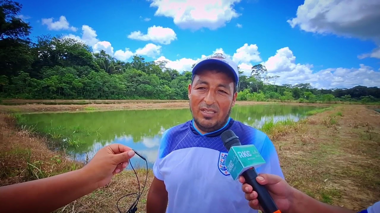 Siembra y cosecha de tambaqui en los estanques piscícolas del expresidente Evo Morales Ayma