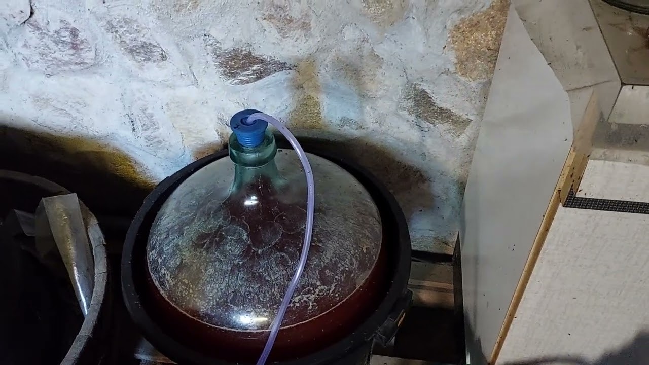 Cum facem vinul mai dulce,sec cu ajutorul fermentatiei