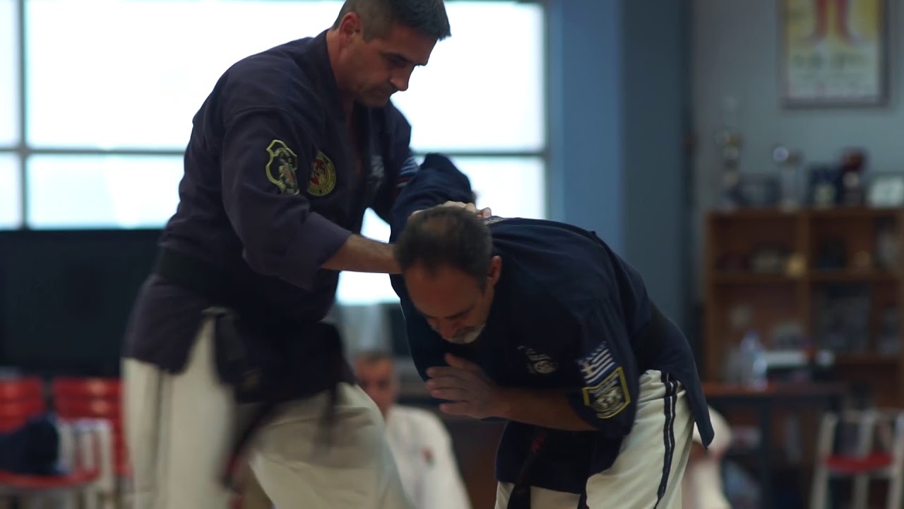 GOSHIN JUTSU_DUO SYSTEM_seminar