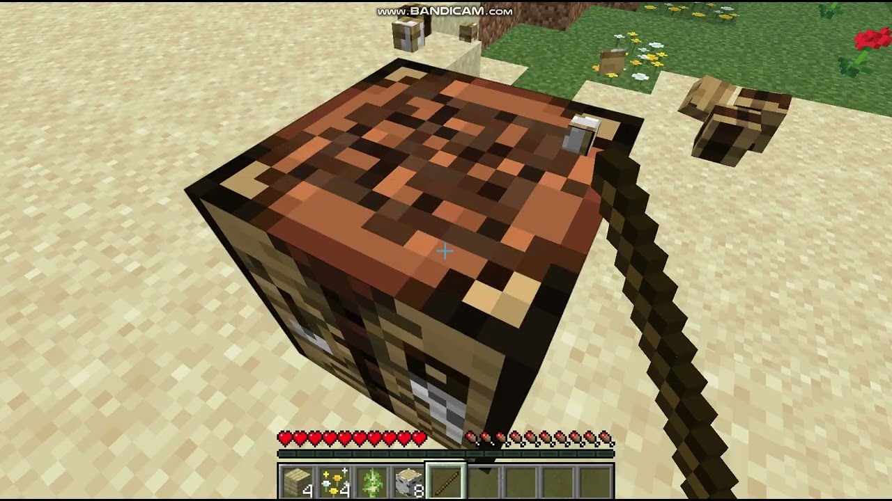 Playing minecraft