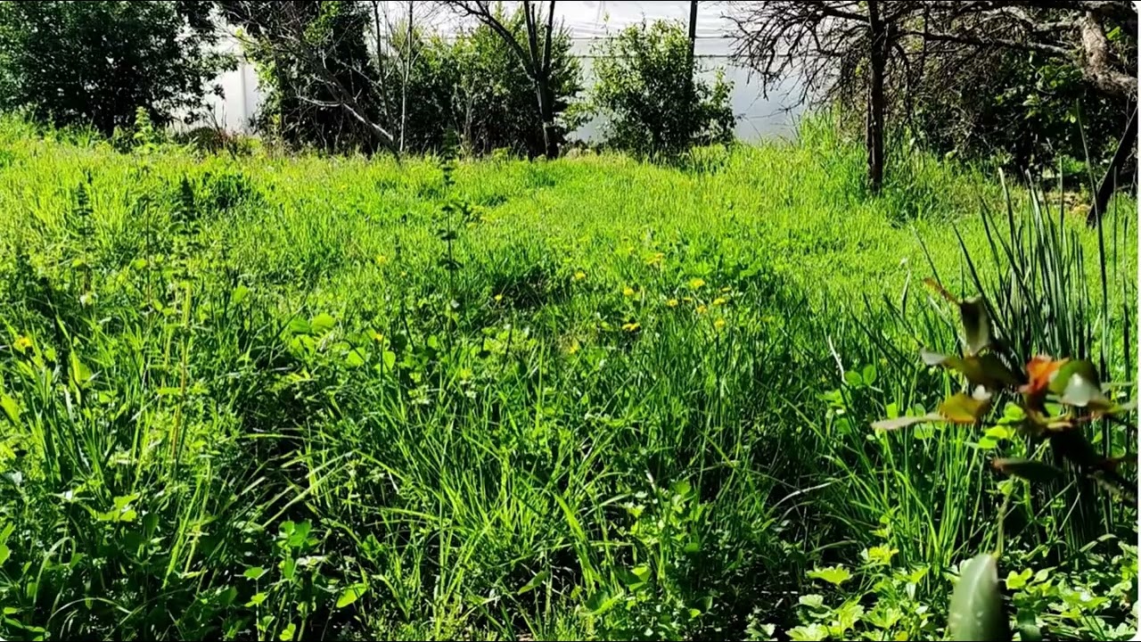 MASAL 10 :  Balıkçılar ve batık gemi   Akıllı karga   Demircinin oğlu ve dev