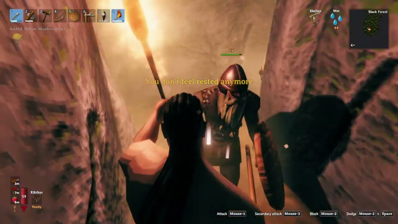 Peak VALHEIM w/BOIs