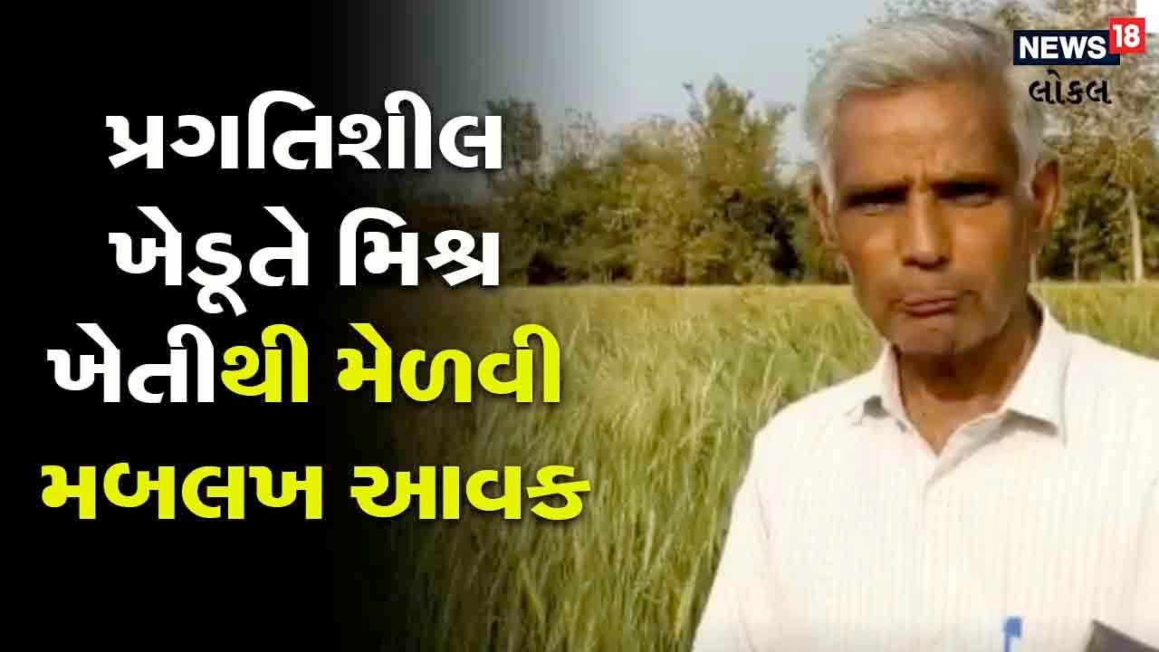 MEHSANA | Agriculture News | આ ખેડૂતે કરી એવી કમાલ કે થાય છે માખલબ આવક | #local18