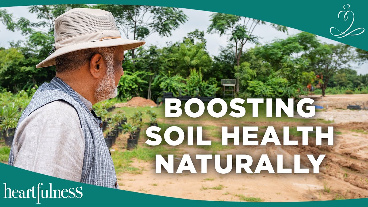Transforming Agriculture with Bio-charcoal | Techniques for Farming