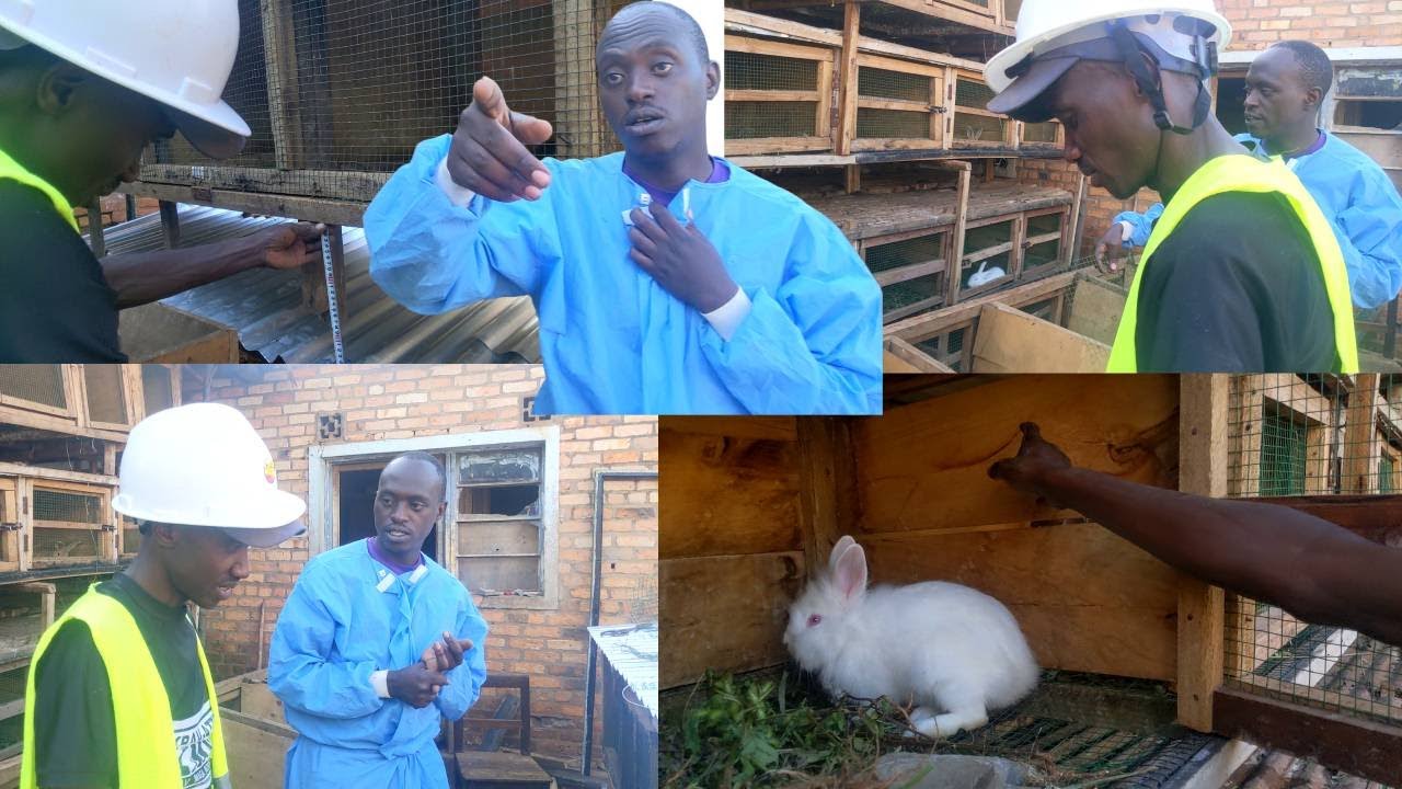 📛VIDEO:DORE UBUHANGA MU KUBAKA IBIRARO BY'INKWAVU BIGEZWEHO