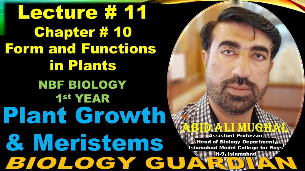 Plant Growth and Meristematic Tissues (Meristems) Lecture 11 Ch-10 NBF Bio-11 by Abid Ali Mughal