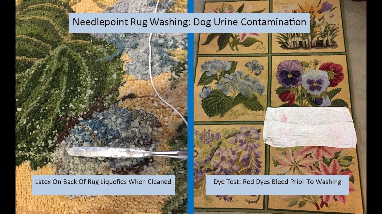 Needlepoint Rug Washing Contaminated With Dog Urine!