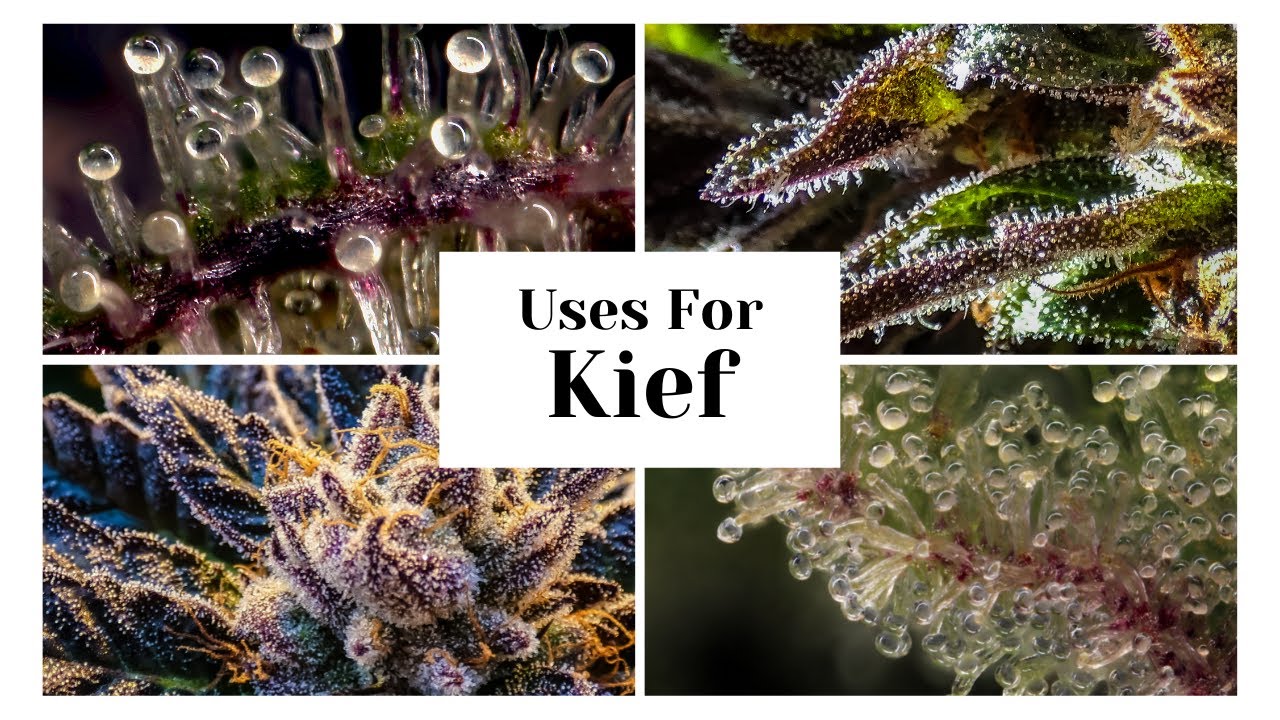 Uses for Kief - Moon Rocks, Hash Rosin, Bowl Toppers, Hash Joint & Kief Pucks