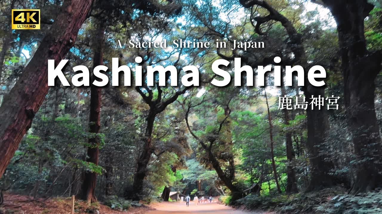 【鹿島神宮参拝】東国三社詣｜Kashima Shrine VLOG in Japan#4k #japantravel #旅行