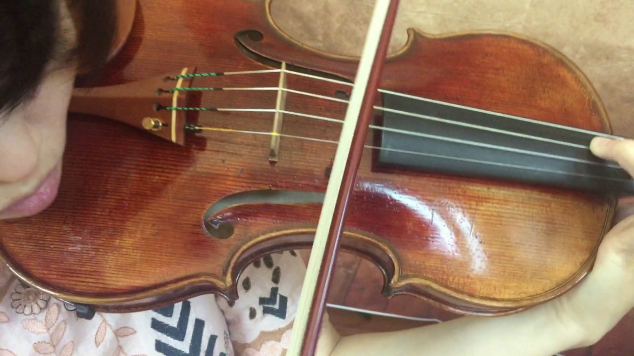 Private Stock #098 Guarneri del Gesu 1743 
