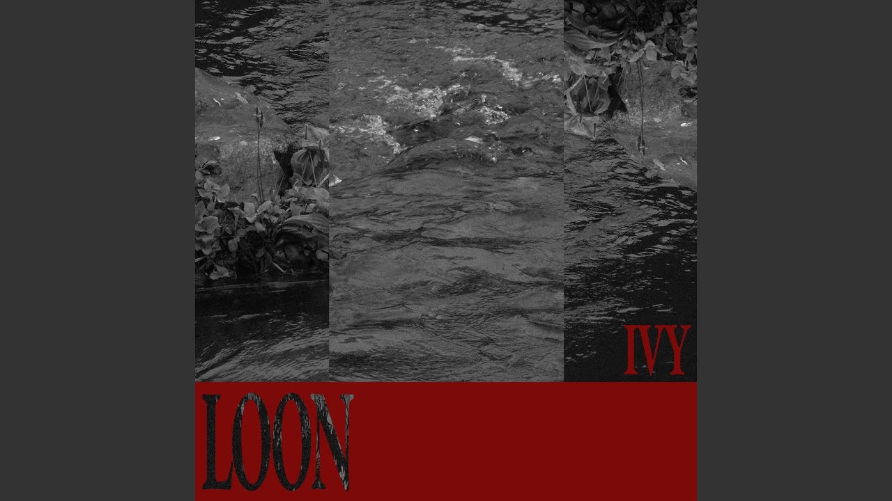 Loon