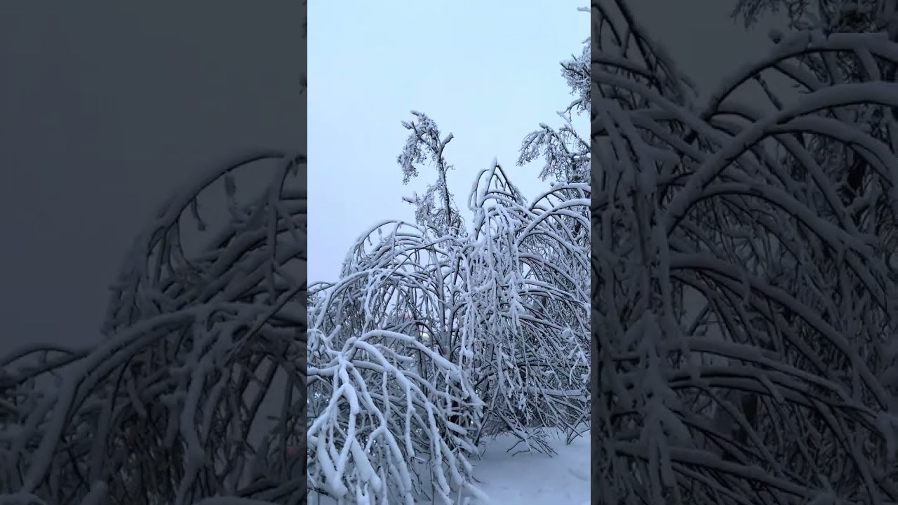 February 6, Niagara Falls America 4K walking ultra HD 4K