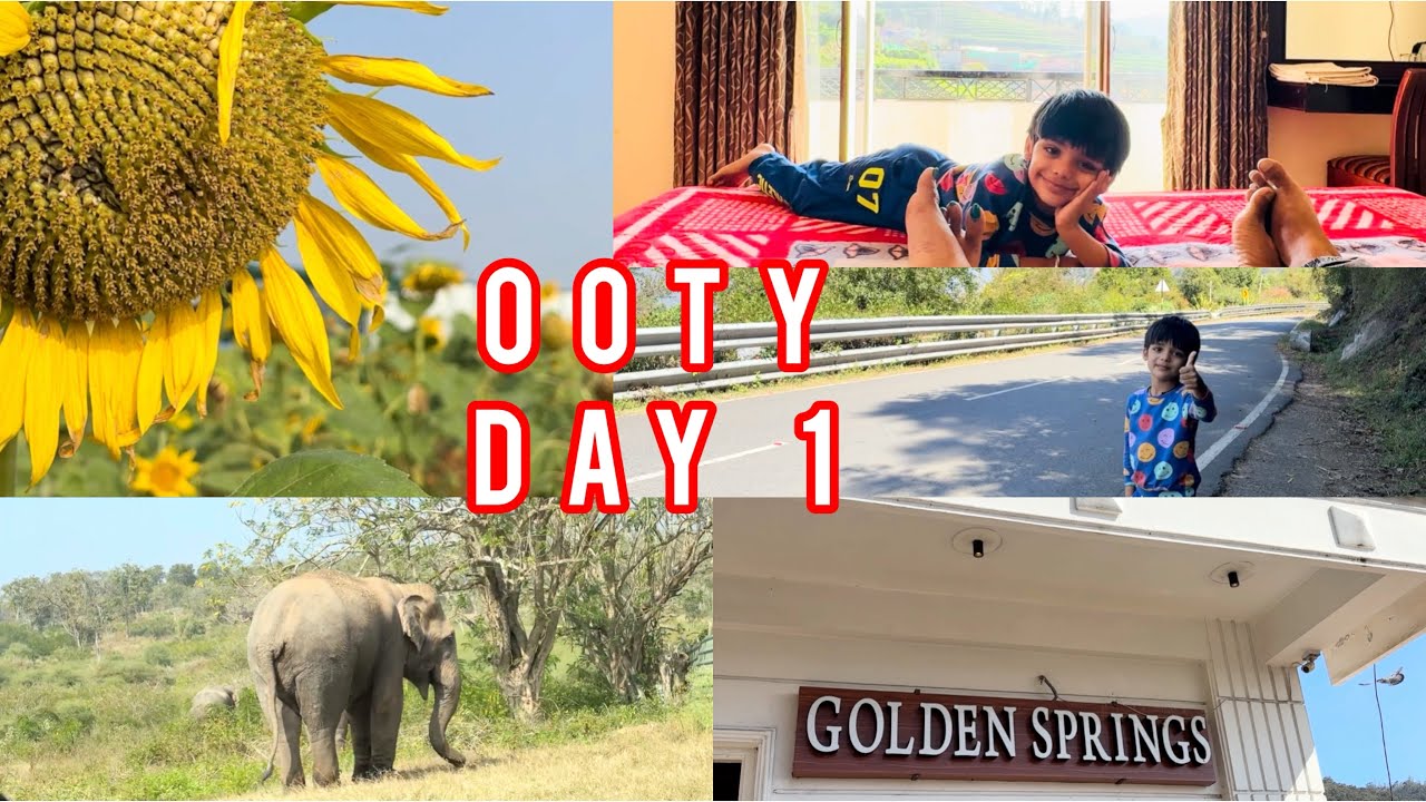 Mysuru to Ooty Trip | Bandipur & Mudumalai Road View | Golden Springs Hotel | ooty 36 Hairpin road 