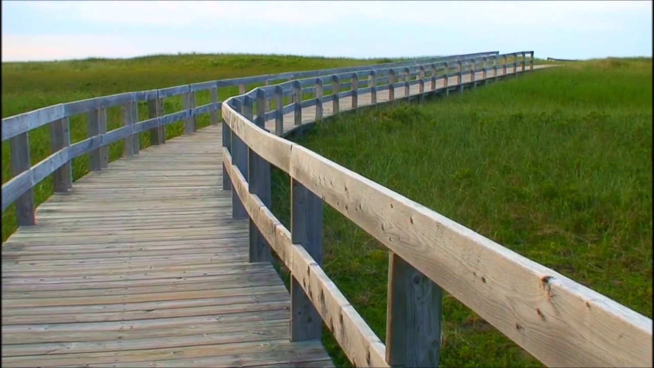 Nova Scotia Summer