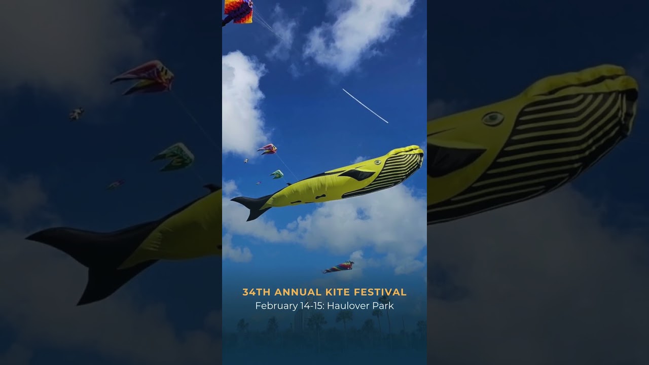 The Best Miami Events in February 2026