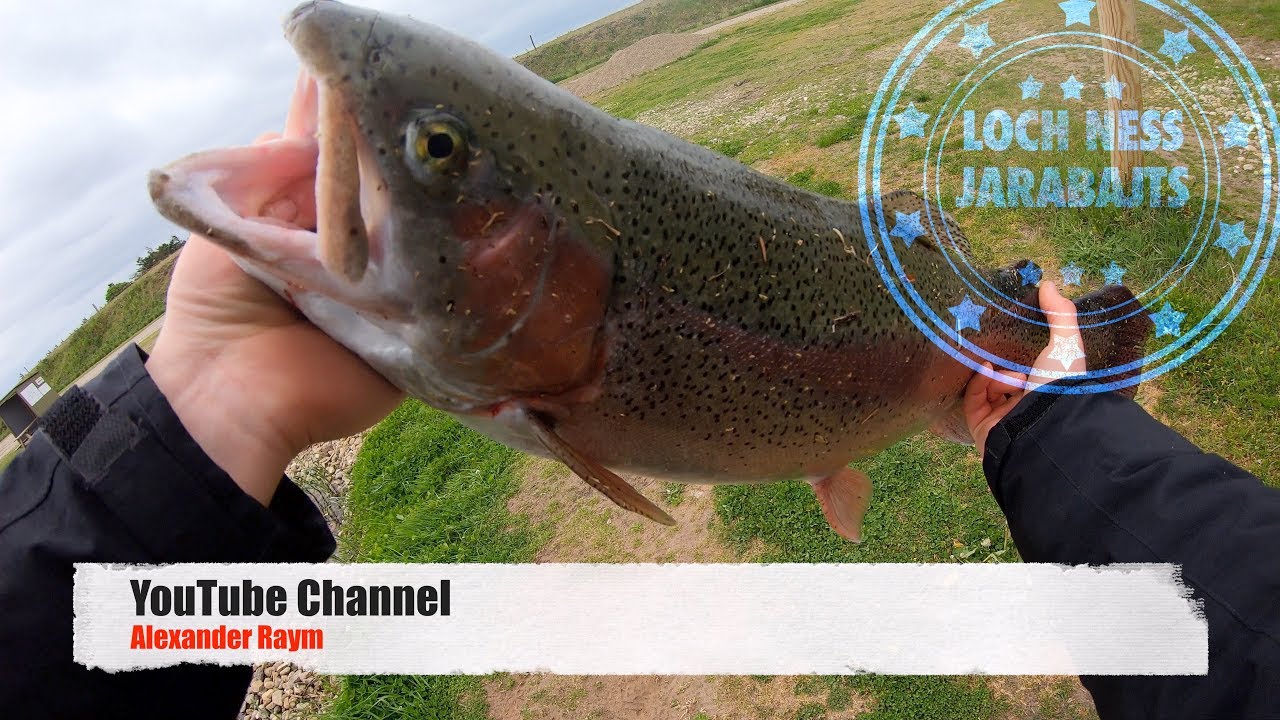 XXL Lachsforellen Angeln / Loch Ness D&auml;nemark JaraBaits / Spoon