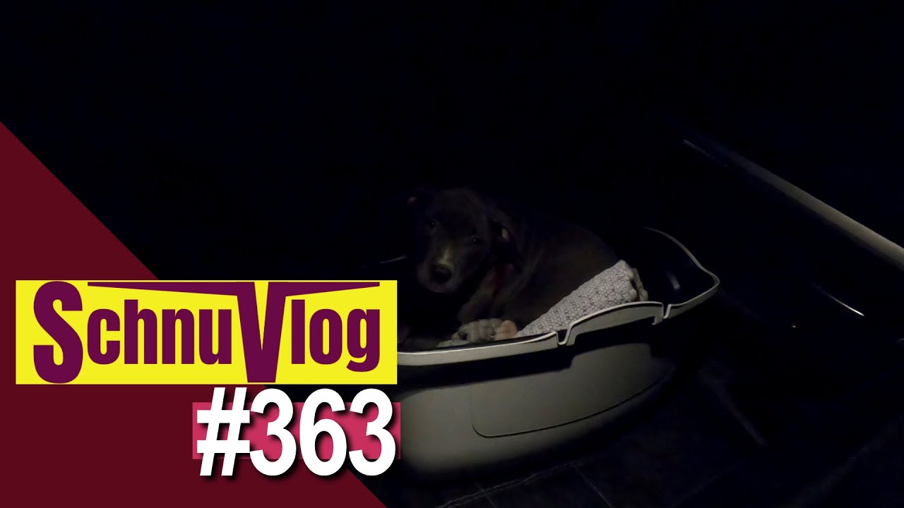 SchnuVlog #363 | Jahreswechsel und Spontanausflüge