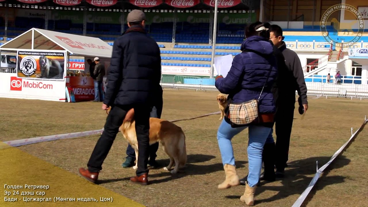 Mongolian Dog Show 2014. Mgl Retriever Club