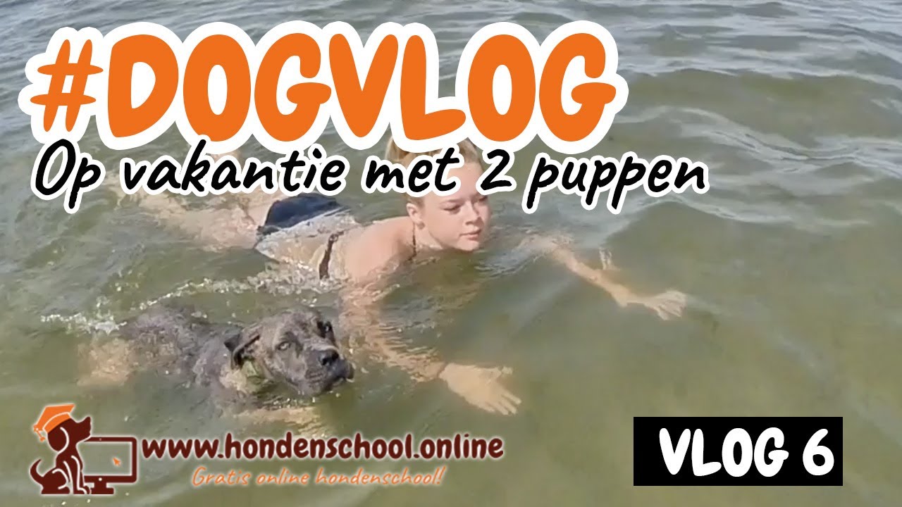 #dogvlog 6 - Op vakantie met twee puppen