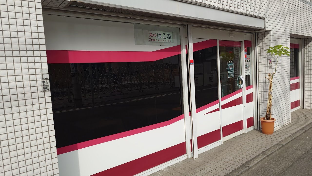 新年早々railways湘南ラインおとっきゅう新幹線走行動画！