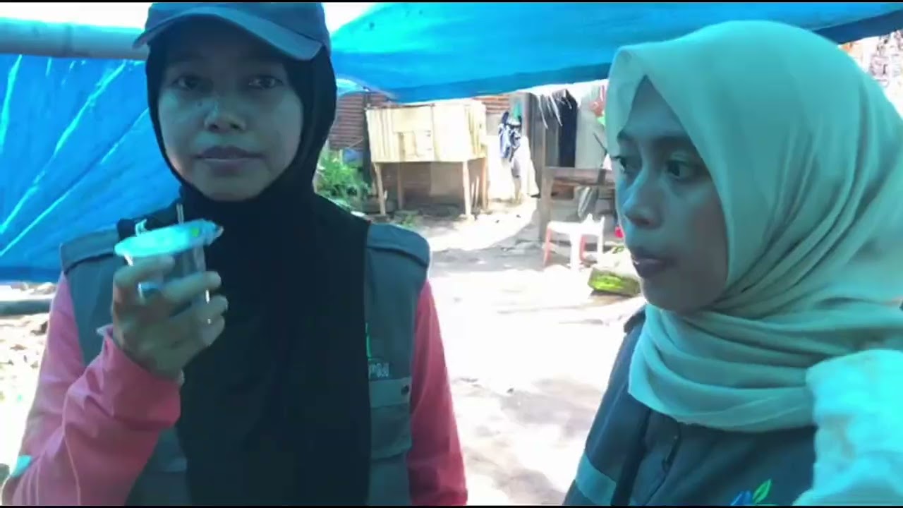 KKN PPM UI DDI AD POLMAN 2025 Desa Pasiang   #kkn #video #dokumenter #viralvideo #film #fyp video