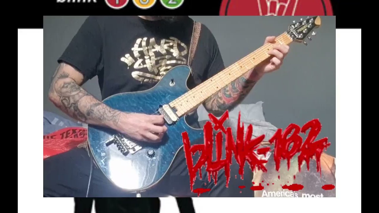 Blink 182 - The Rock Show - Guitar Cover
