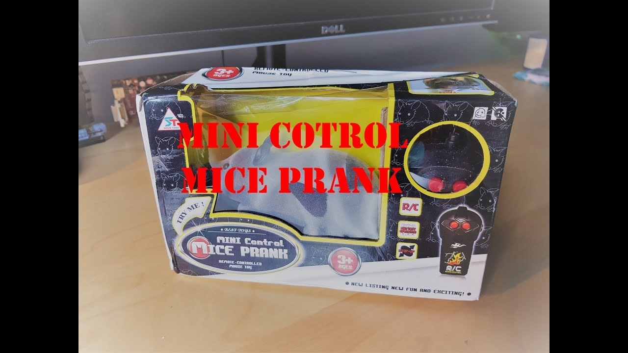 Mini Control Mice Prank Unbox Review