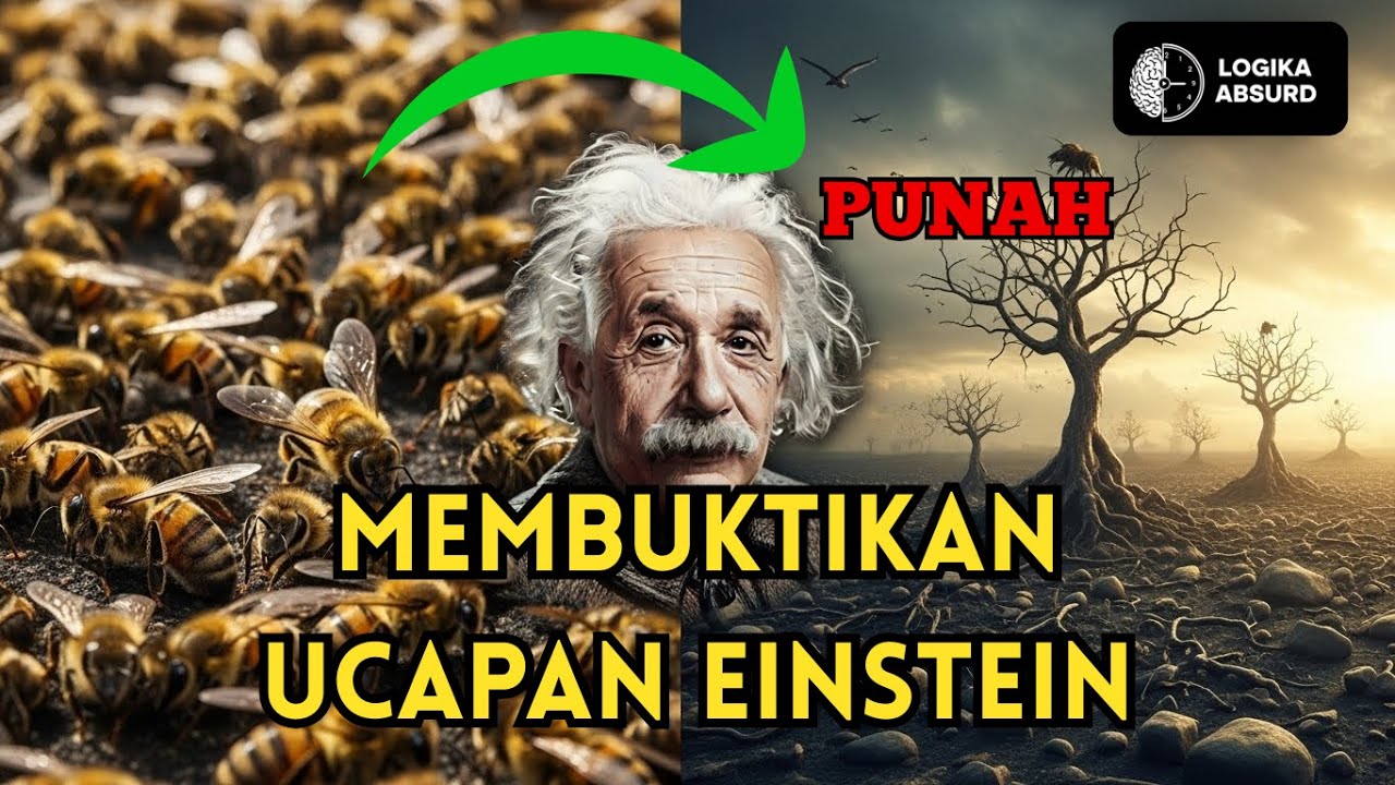 JIKA LEBAH PUNAH, MANUSIA AKAN PUNAH DALAM 4 TAHUN ?! | Apa yang terjadi jika Lebah punah hari ini?