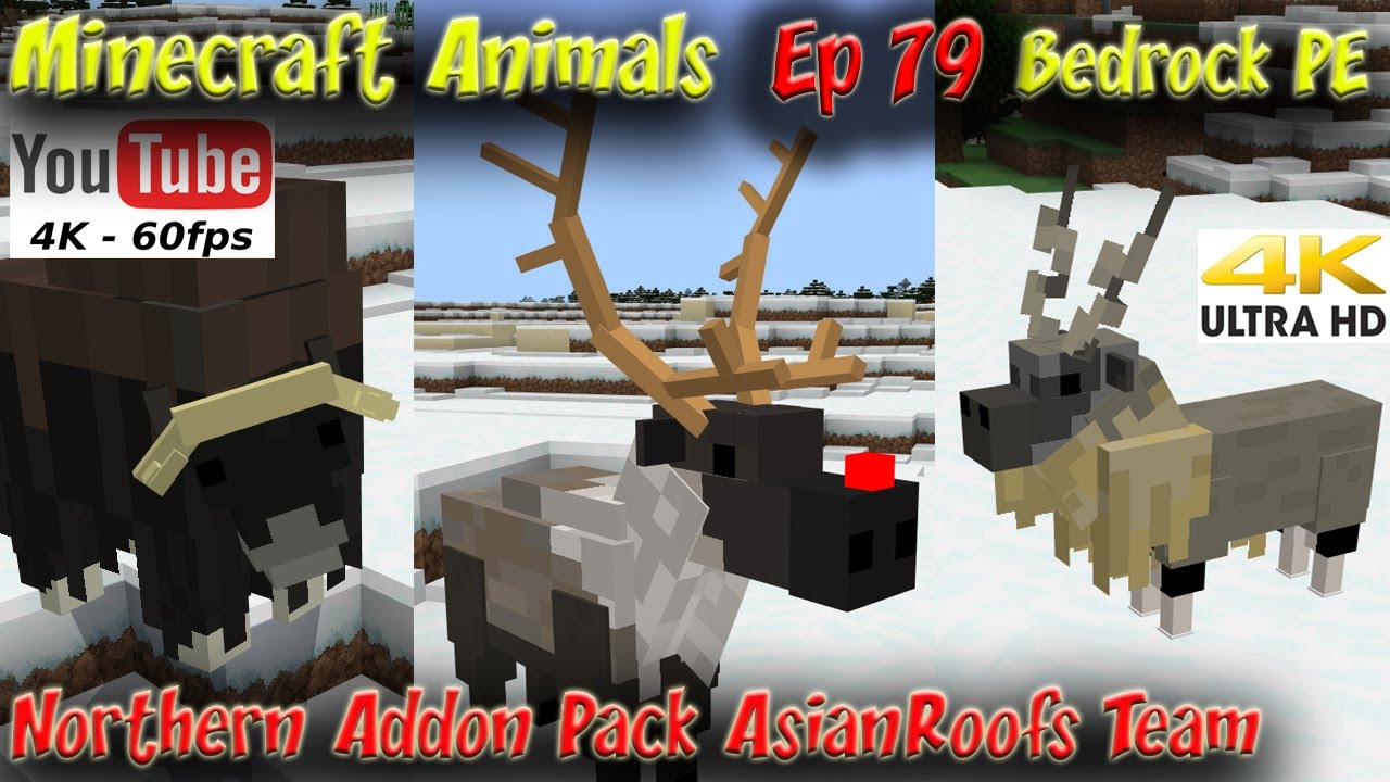 Northern Pack Addon AsianRoofs Team Minecraft Bedrock Addon Minecraft PE Addon 60FPS 4K Animals EP79