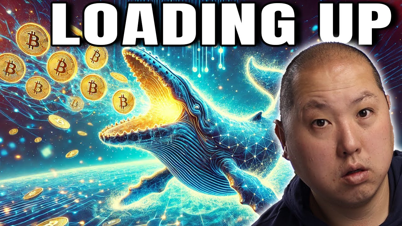 Massive Whale Accumulation Signals Bitcoin's Next Big Move
