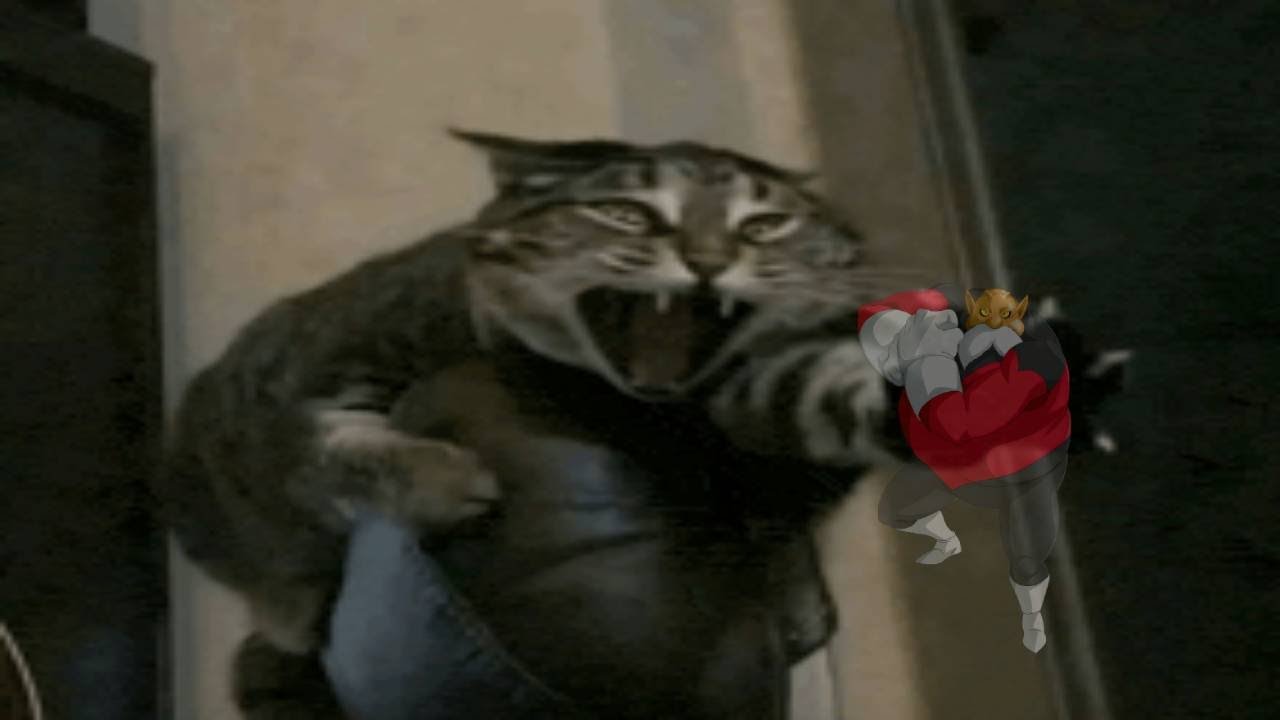 Defending Justice... LOOKBACK WEEK!: G.O.D. TOPPO PT 2 (DBZ: Dokkan Battle)