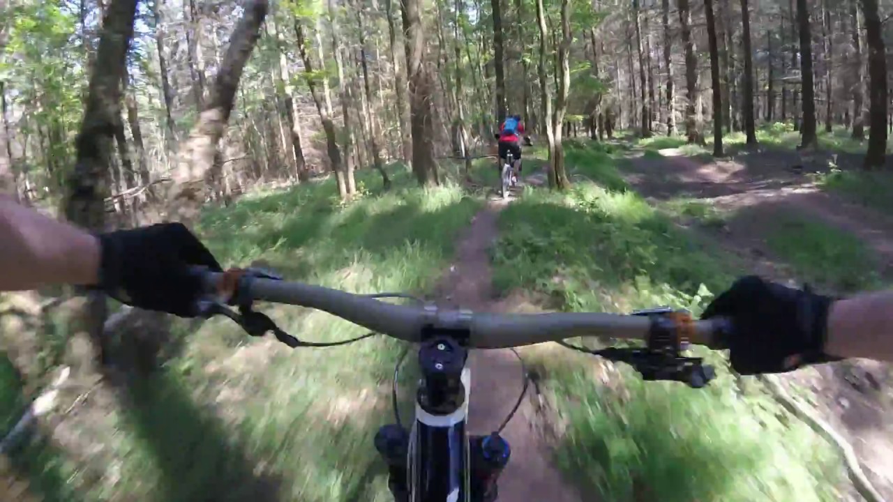 Finding more trails at Wyre forest