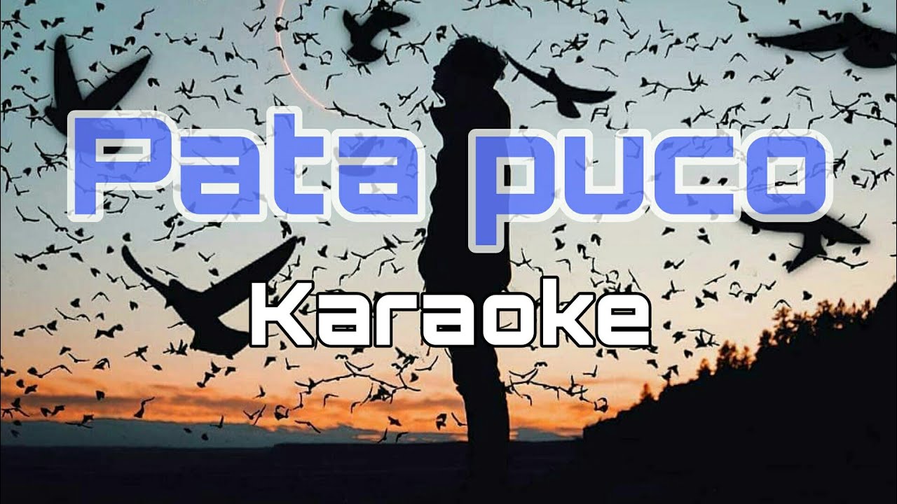 PATA PUCO (KARAOKE) TERBARU, lagu nagi.