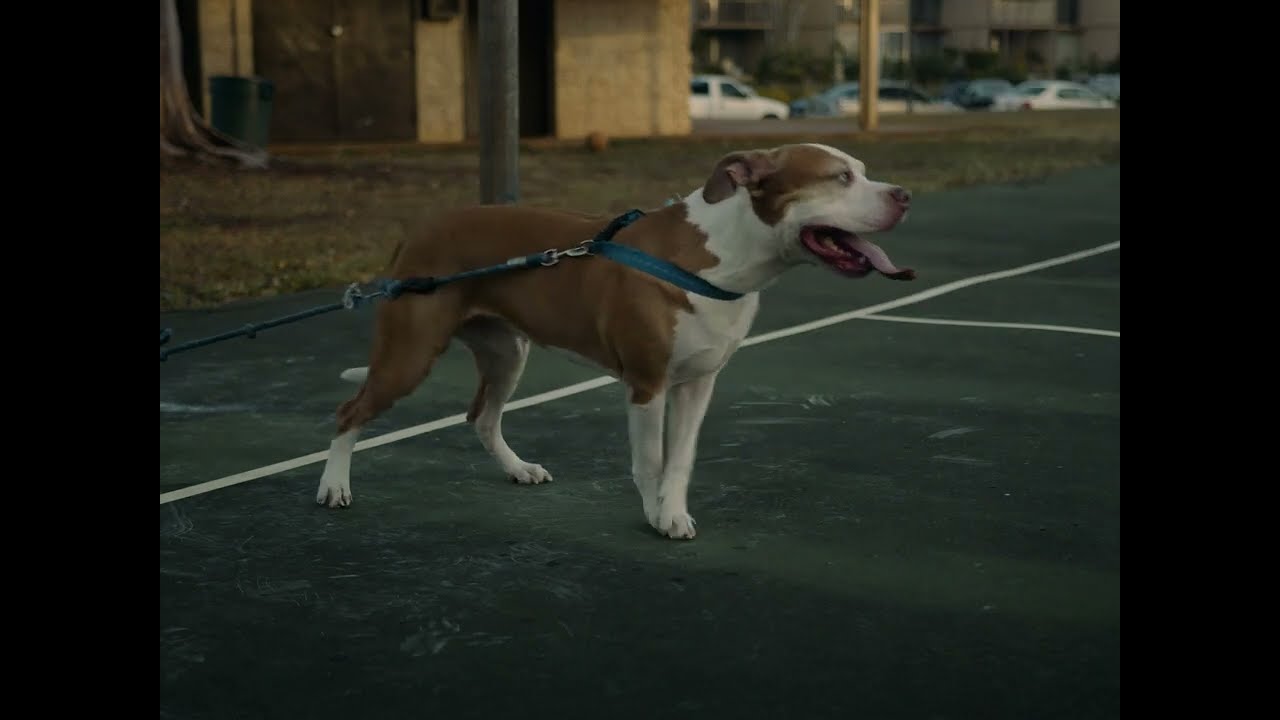 The Uce - Papered Up (Official Music Video)