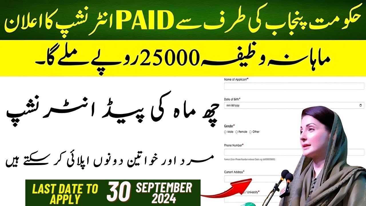 CM Punjab Paid Internship Program 2024 | Apply Online For CM Internship | Mr Software
