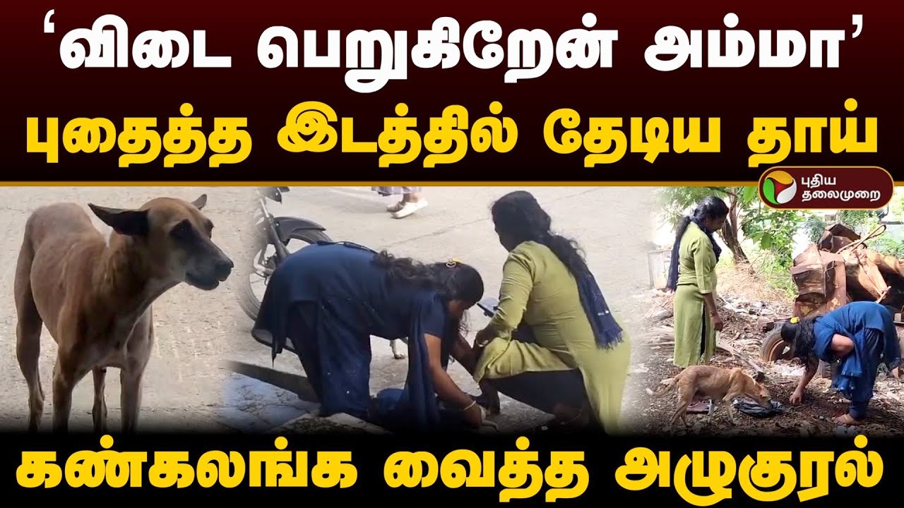 ‘விடை பெறுகிறேன் அம்மா’ புதைத்த இடத்தில் தேடிய தாய்.. கண்கலங்க வைத்த அழுகுரல் | Vellore | PTD