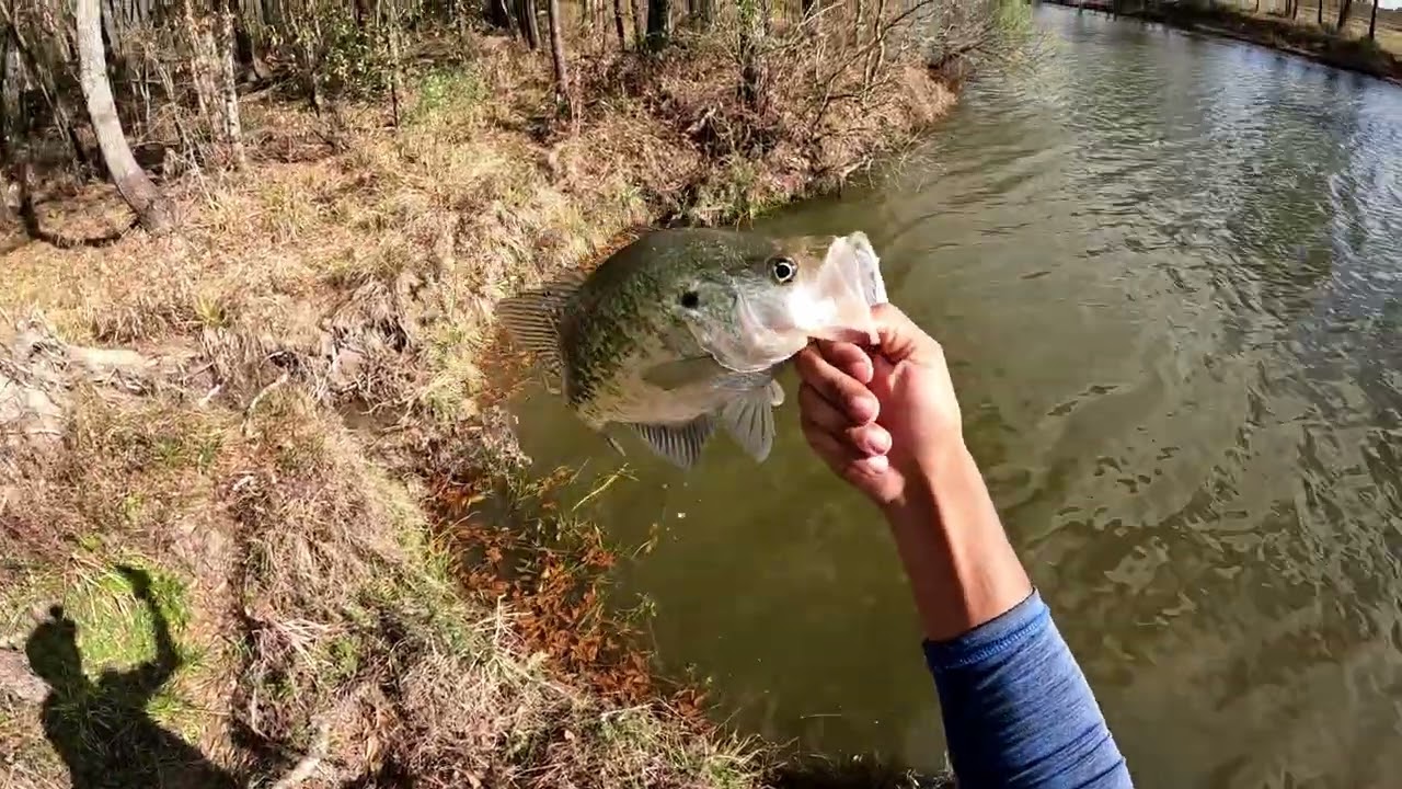 micro finesse fishing crappie and bass fishing ep5