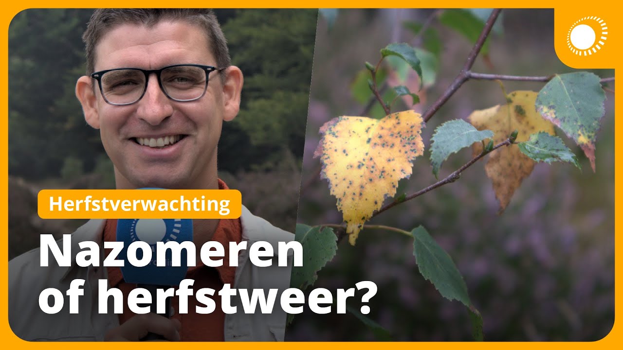 Zo snel barst de herfst los | Herfstverwachting 2023