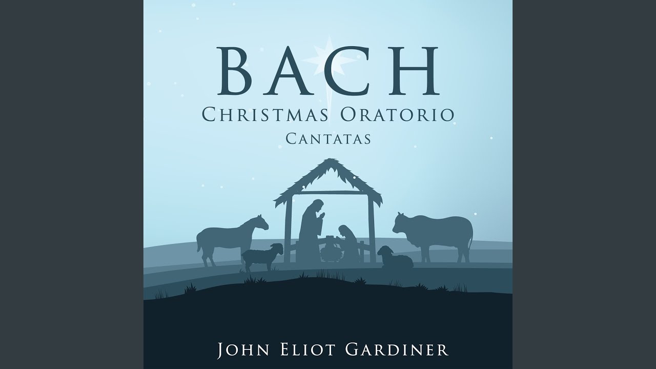 J.S. Bach: Weihnachts-Oratorium, BWV 248, Pt. 4: No. 41, Aria. Ich will nur dir zu Ehren leben