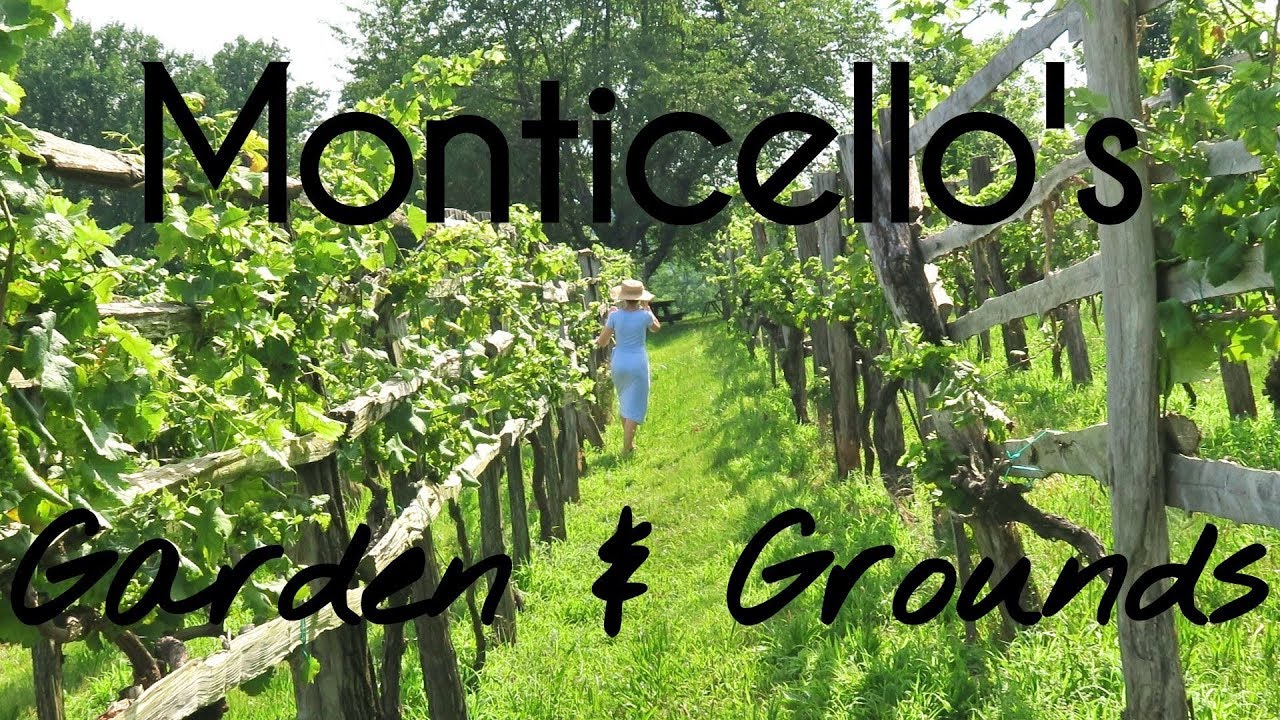 САДЫ ТОМАСА ДЖЕФФЕРСОНА Монтичелло
