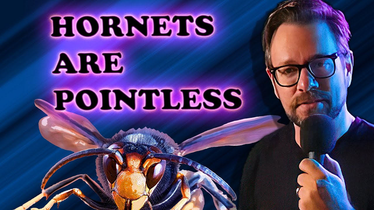 A perfectly calm and logical rant about why I don't think hornets should exist