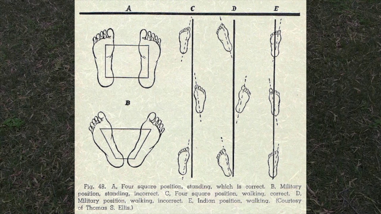 PE 101: 