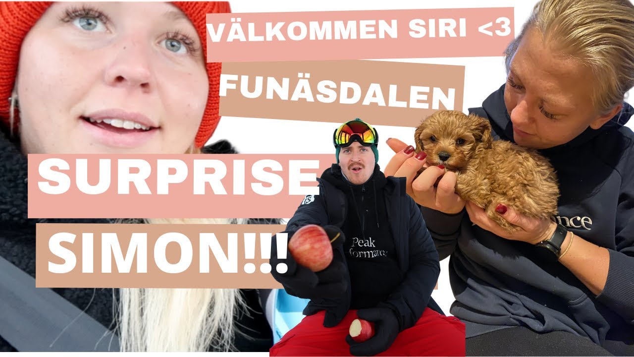 VLOGG - &Ouml;verraskar Simon med en HUNDVALP! & FUN&Auml;SDALEN