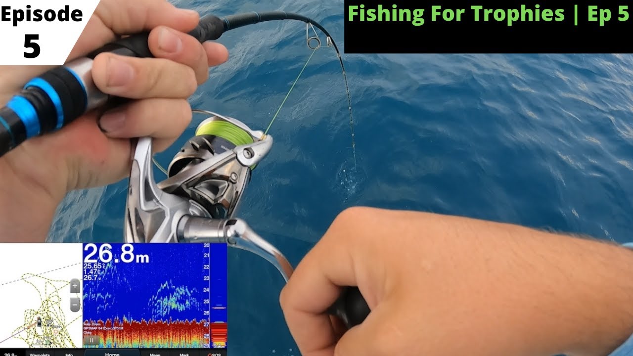 Catching Big Fish Close To The Keppels!   |  FISHING FOR TROPHIES Ep 5