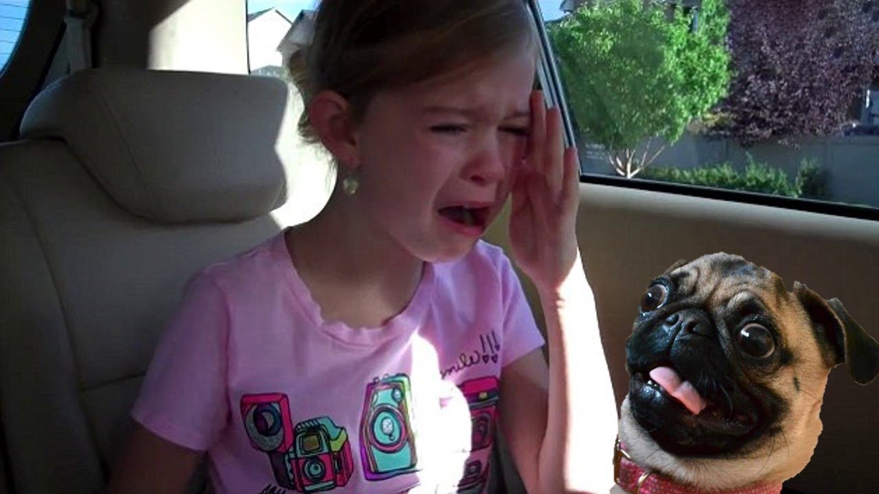 Best New Puppy Surprise For Kids Compilation - You Try Not to Cry
