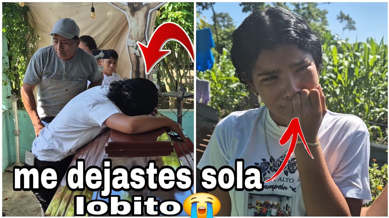 Bibi llorando le da su ultimo abrazo en la caja a lobito|asi lo despiden de su casa💔