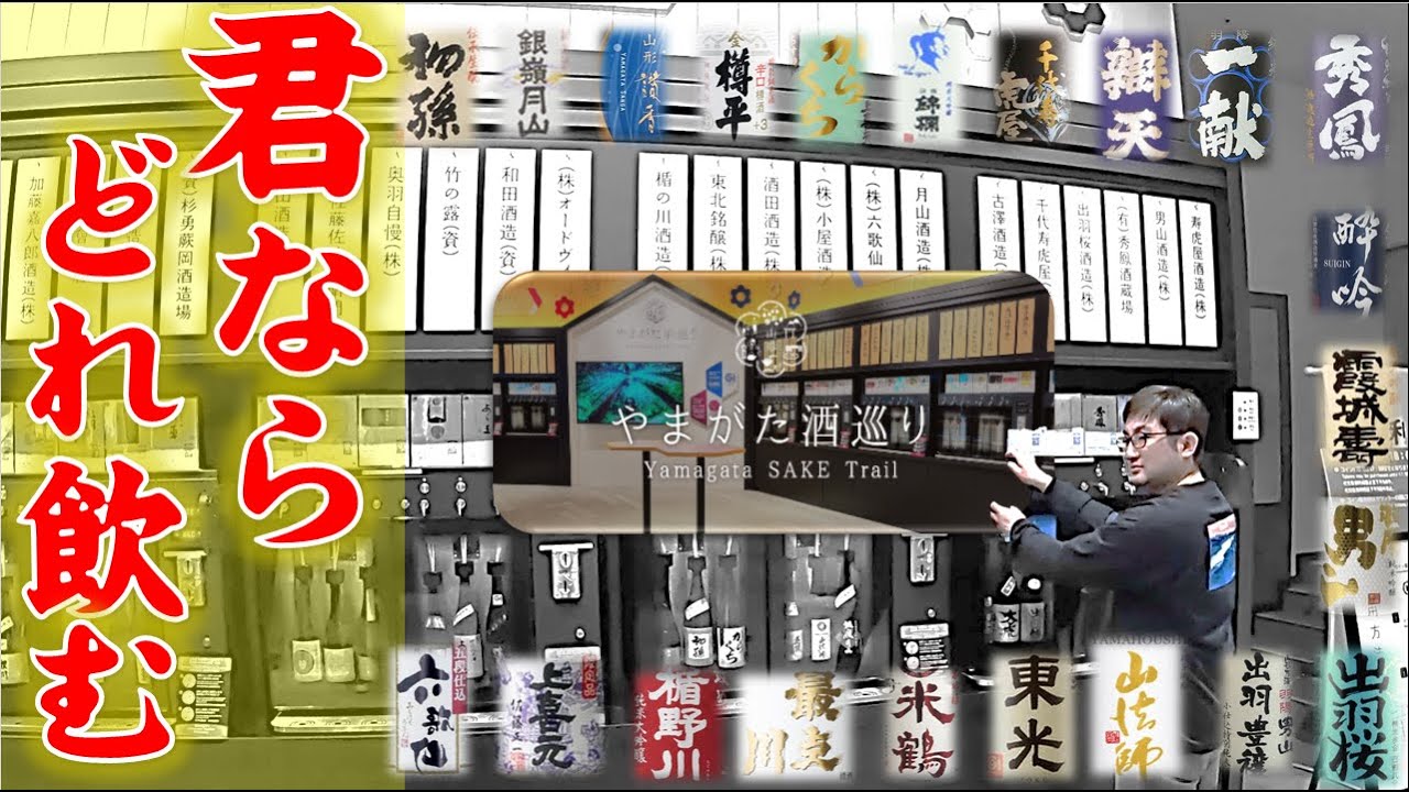 【山形】やまがた酒巡り Chetto 山形の観光スポット！日本酒とワインの試飲ができます！沢山ありすぎて迷っちゃう！