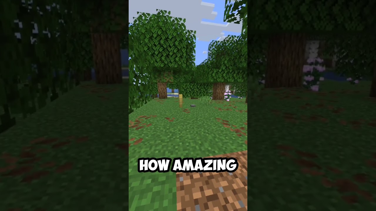 Bamboo fence next to a stone button