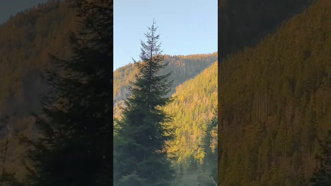 Провинция Венето, Италия ❤️💕