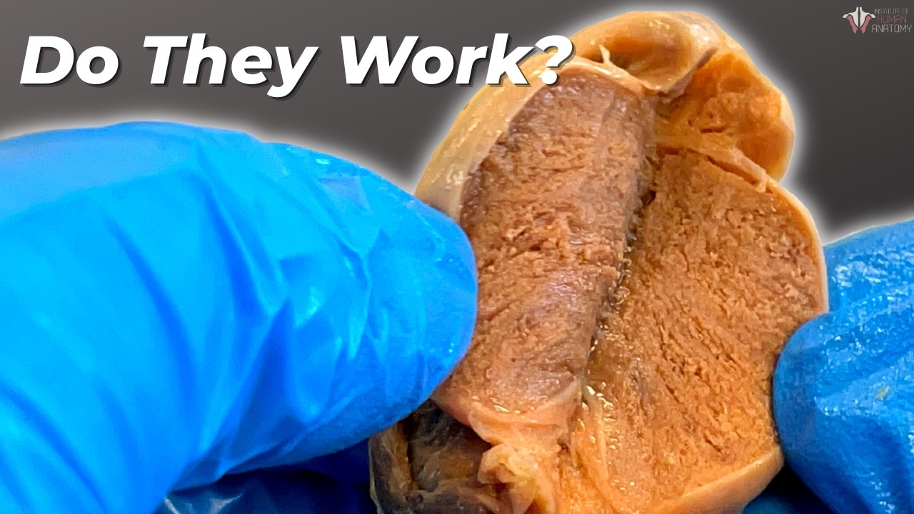 Are Testosterone Supplements a Scam?